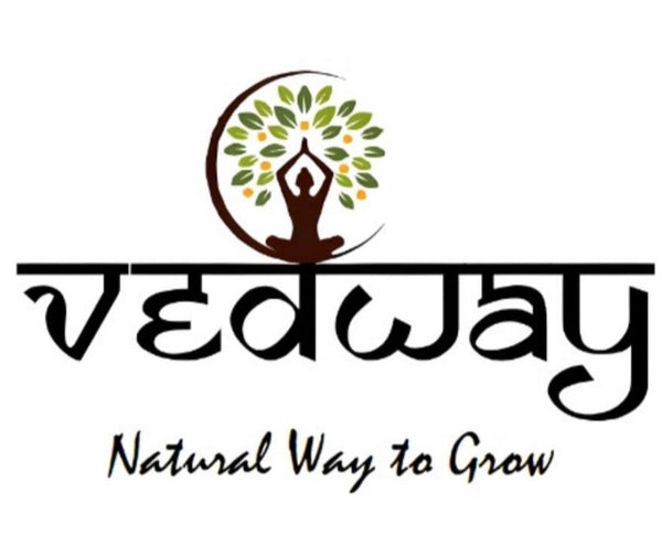 Vedway Solutions Inc
